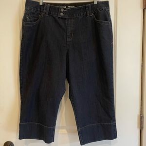 Lane Bryant Tighter Technology Women’s Jeans